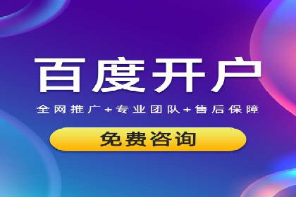 谷歌竞价广告的出价策略及某公司实践案例